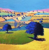 Summer Coombe by Paul Powis