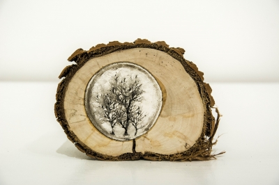 Log 7 (tree stump, resin and perspex) SOLD