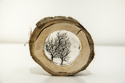 Log 5 (tree stump, resin and perspex) SOLD