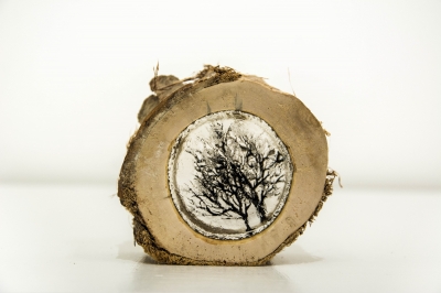 Log 6 (tree stump, resin and perspex) SOLD