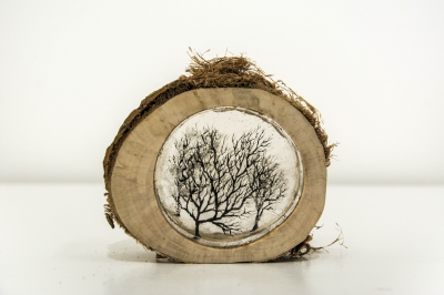 Log 3 (tree stump, resin and perspex) SOLD