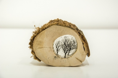 Log 4 (tree stump, resin and perspex) Sold