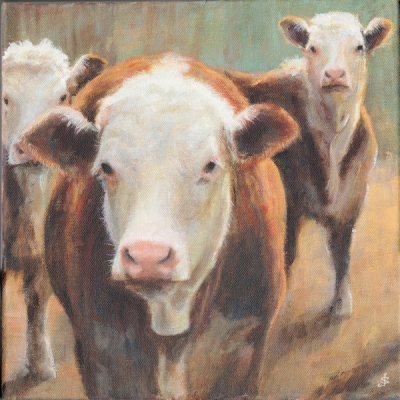 Young Herefords  by 