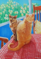 Cats (oil on canvas 54 x 74cm framed ) £425 plus delivery