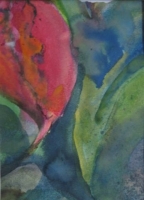 Parrot Tulip Study III (inks & van dyck crystals 27 x 31 cm) £75.00