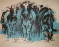 Grazing (charcoal and acrylic 102 x 82cm framed) £600 plus delivery