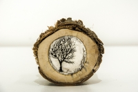 Log 8 (tree stump, resin and perspex) SOLD
