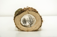 Log 1 (tree stump, resin and perspex) Sold