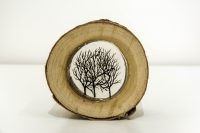 Log 2 (tree stump, resin and perspex) SOLD