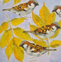 Sparrows on ash leaves by Christopher Rainham