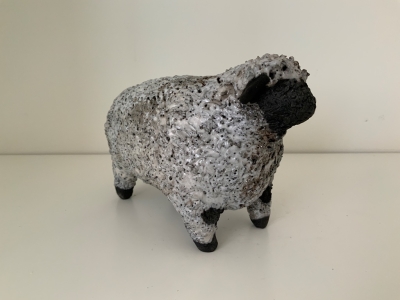 Swiss Valais Sheep by Alison Fisher
