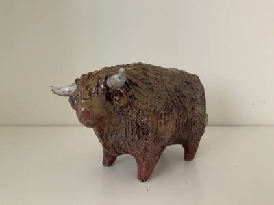 Highland Bull