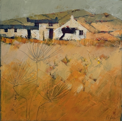Carn Fields 