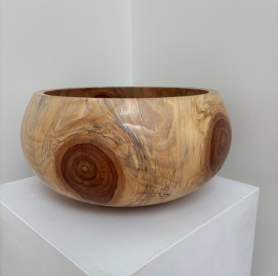 Monkey Puzzle (Chilean Pine) bowl 3