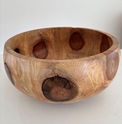 Monkey Puzzle (Chilean Pine) bowl 1