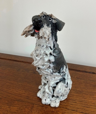 Schnauzer by Phil Hayes