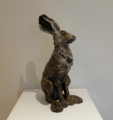 Hare sitting by Phil Hayes