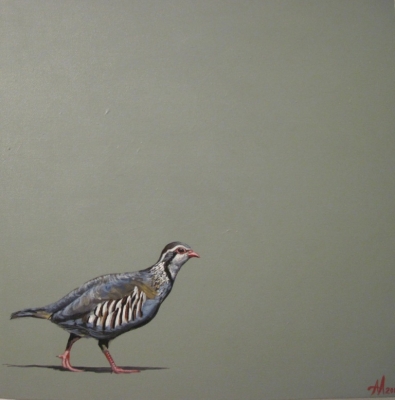 Red Legged Partridge (acrylic on canvas unframed 50 x 50cm) Sold