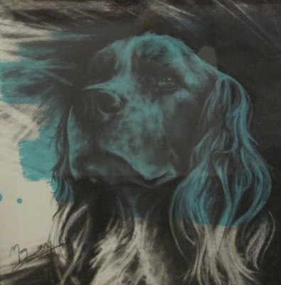 Springer (charcoal and acrylic 52 x 52cm framed) £380 plus delivery by 
