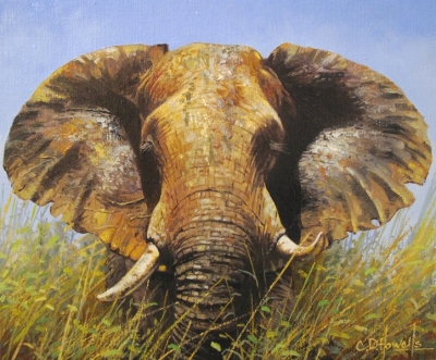Elephant by Chris Howells