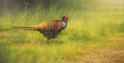 Pheasant  by Chris Howells