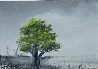 Green Tree on Mono Backdrop by Pip Walters