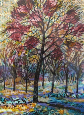 Shewsbury Park Trees by Tony Purser
