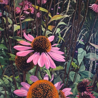 Echinacea by Katie Brent