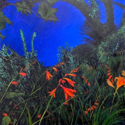 Evening Garden Crocosmia by Katie Brent