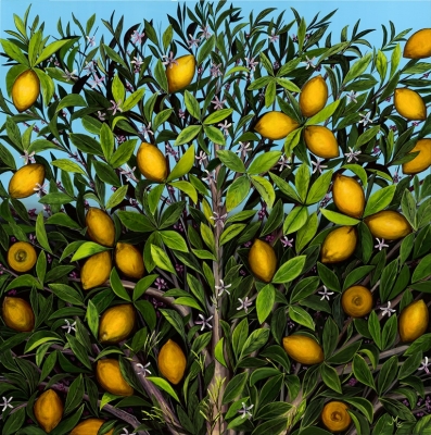 Lemons still life in situ III by Monica Cuellar
