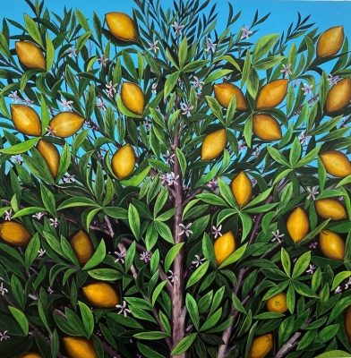 Lemons still life in situ V by Monica Cuellar