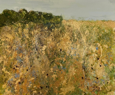 Golden Meadow by Sally Stafford