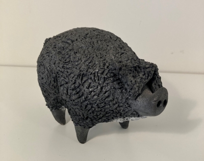 Pig Mangalista (Wooly) Black by Alison Fisher