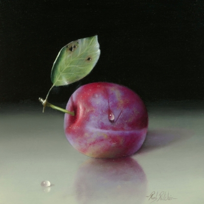 Plum by Rob Ritchie