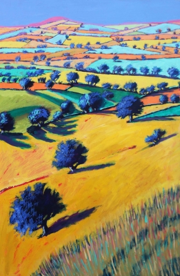 Cotswold Valley by Paul Powis