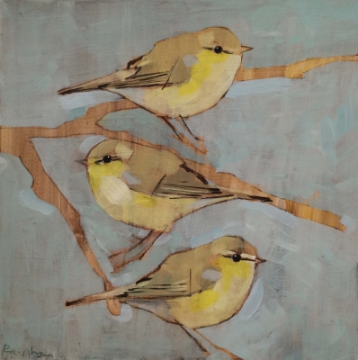 Three Wood Warblers  by Christopher Rainham