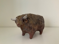 Highland Bull