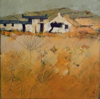 Carn Fields 