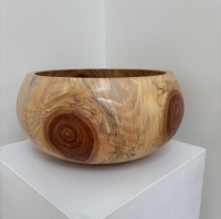 Monkey Puzzle (Chilean Pine) bowl 3