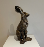 Hare sitting