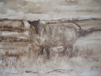 Sheep and Buzzard (water colour & van dyke crystals, 53 x 63 cm) £265 plus p+p