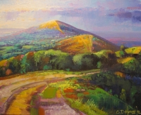 Malvern IV Study