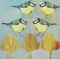 Four Blue tits on Hawthorne Leaves