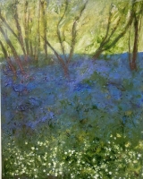 Bluebells were early