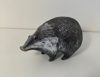 Badger standing