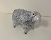 White sheep 1